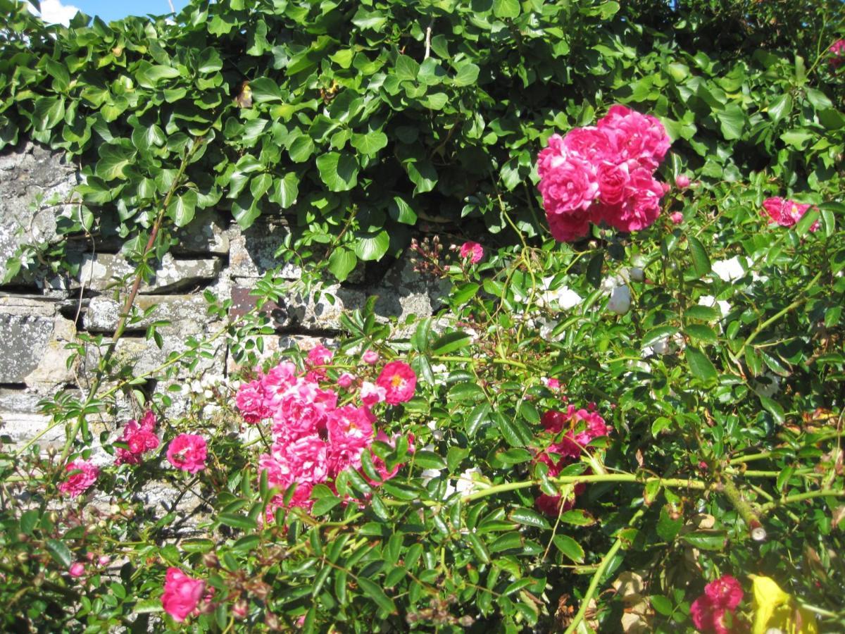 Colebrook Cottage Isle of Whithorn Exterior foto